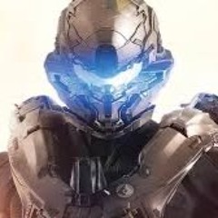 halo 5 gardiands