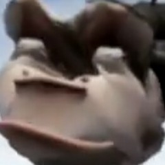 WarumBrauchIchEinenBenutzernamen