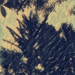 Malcolm William Johnston