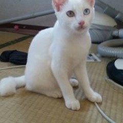 おおた太田 雅大