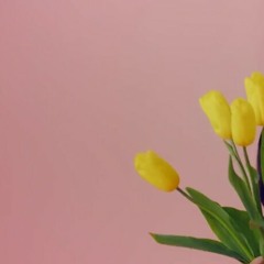 02 23