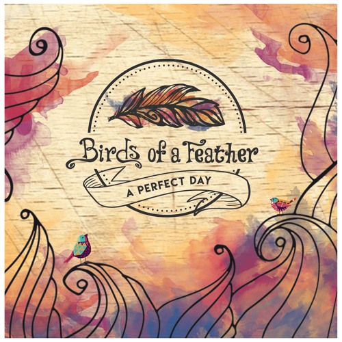 Stream Birds of a Feather Band music | Listen to songs, albums