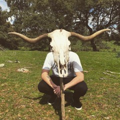 CHEVS