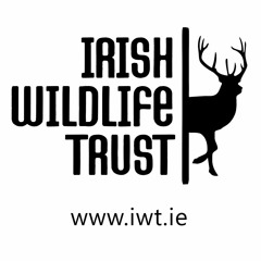 Irish Wildlife Trust
