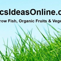 Aquaponics Ideas Online