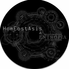 Homeostasis and Entropia