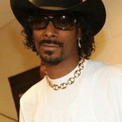 wot in tarnizzle is goin on ya'll