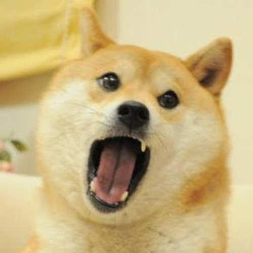 Stream jackson hinson music Listen to songs, albums, playlists for