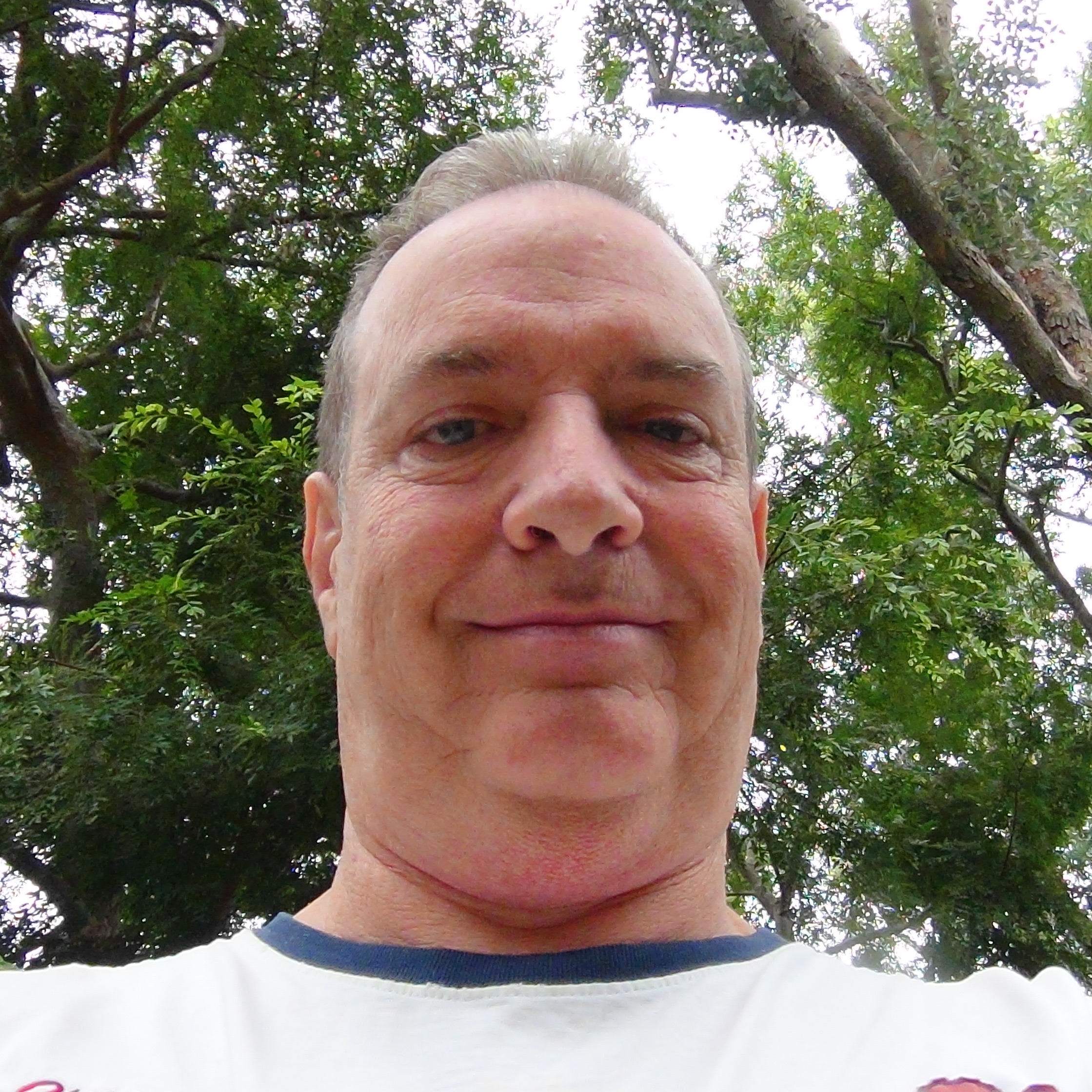 Michael's Many Voices