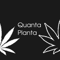 Quanta Planta