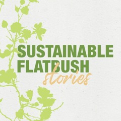 Sustainable Flatbush stories