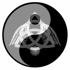 ~P4T-DV