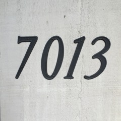 7013 Records