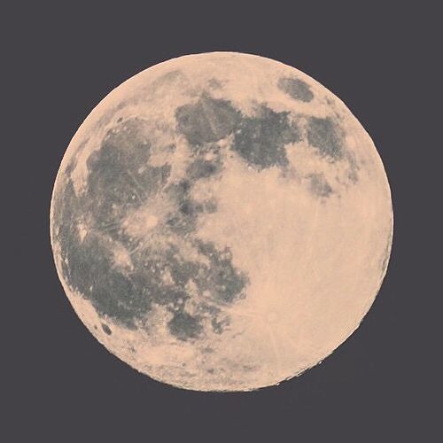 Cul De Sac - Joyous x Deesprings