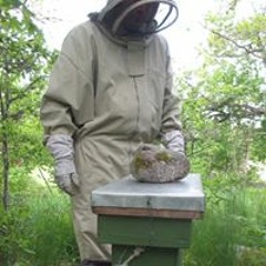 Roger Gustafsson Modig