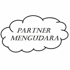 Partner Mengudara