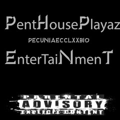 Pent House Playaz