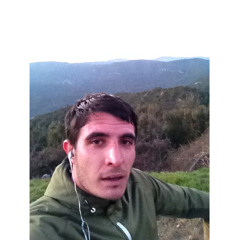 denis Pierinelli