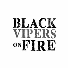 Black Vipers On Channel