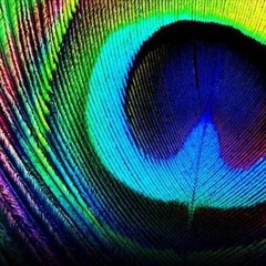 violet wings