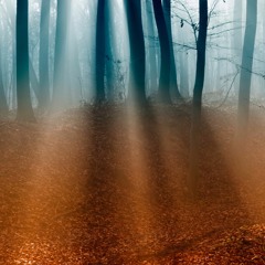 Emiliano Osorio Martínez