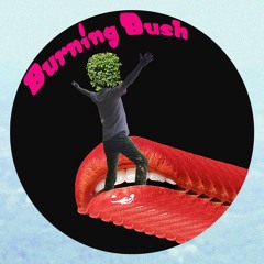 David Webb's Burning Bush