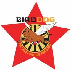 Birddog