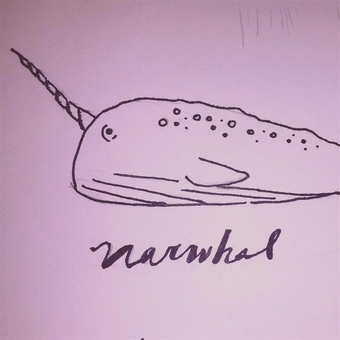 Cosmic Narwhal Podcast