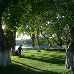 Phanhồng Thinatu