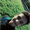 SeemsCloudy