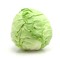 Young Cabbage
