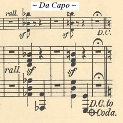 Copius Notes