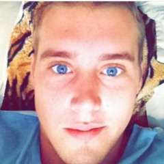 Harry Knox