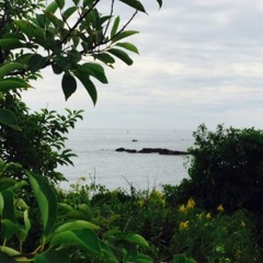 DreamzBeatzProductionz