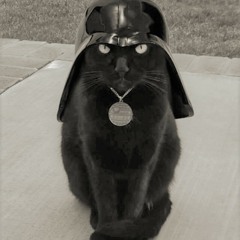 jackson molok (gael bertaud)