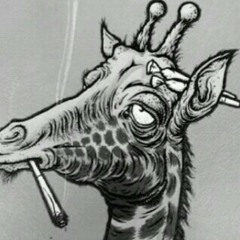 @Kev_Marz94
