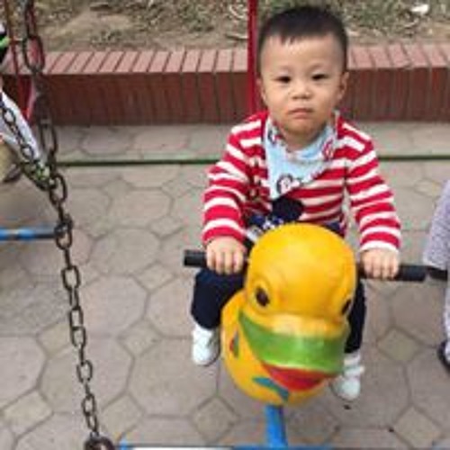 Vũ Gia Minh’s avatar
