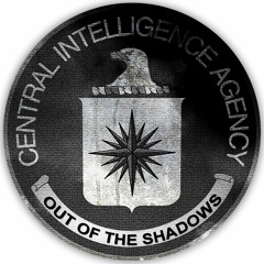 Out of the Shadows Episode 4 - Dov H. Levin