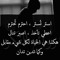 ابو المنتصر