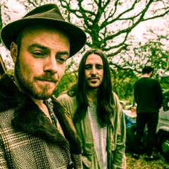 colour of the jungle