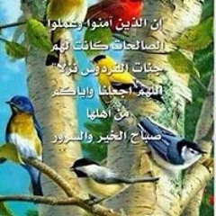 ماشاء الله الحمد لله