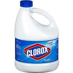 clorox bleach