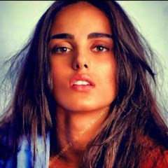Saify Alajmy