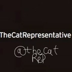 TheCatRepresentative