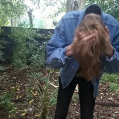 dyldog - master the art of feng