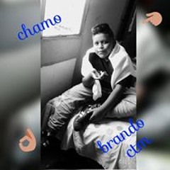 Chamakitho Oakley