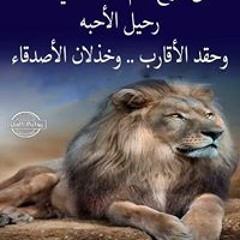 ابو العزايم طنطاوي