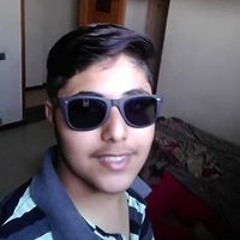 Muhammad Mehdi Alee