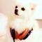 Heo Jubin
