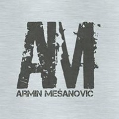 Armin Archy Mesanovic